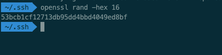 image-20210128203720595