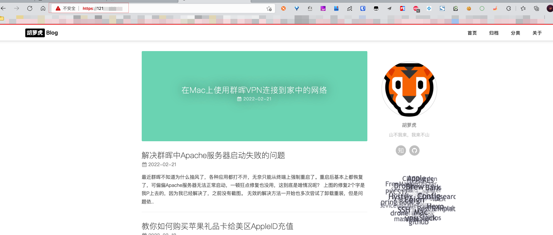 IP直接访问网站