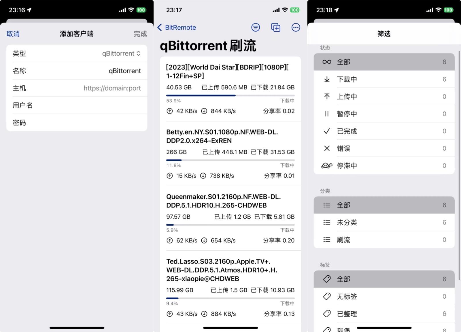 🐈‍⬛ BitRemote：一款支持qb/tr/群晖/威联通下载器的客户端，Pter速领！