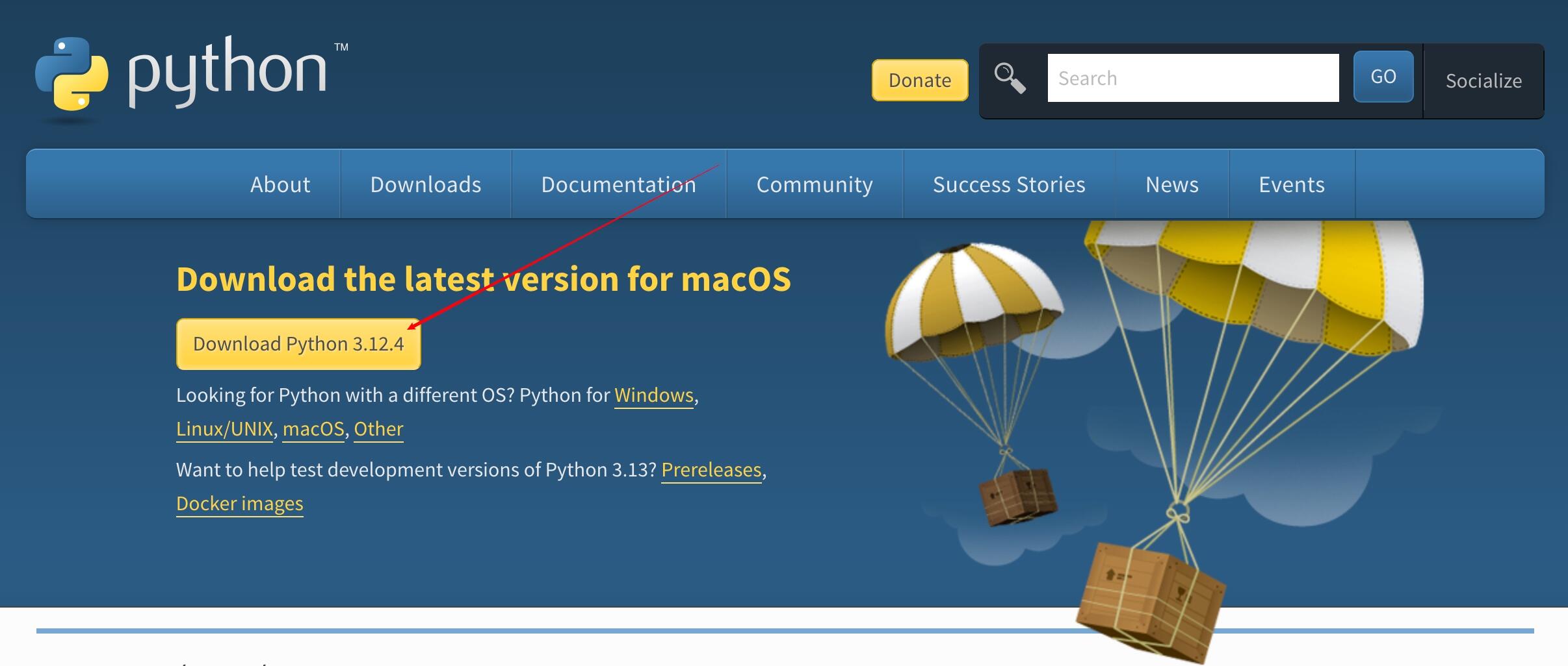 embyToLocalPlayer