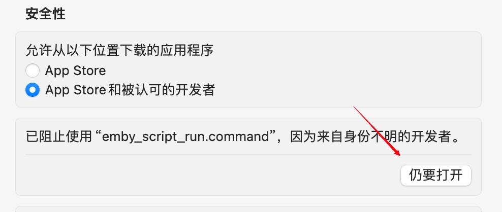 embyToLocalPlayer