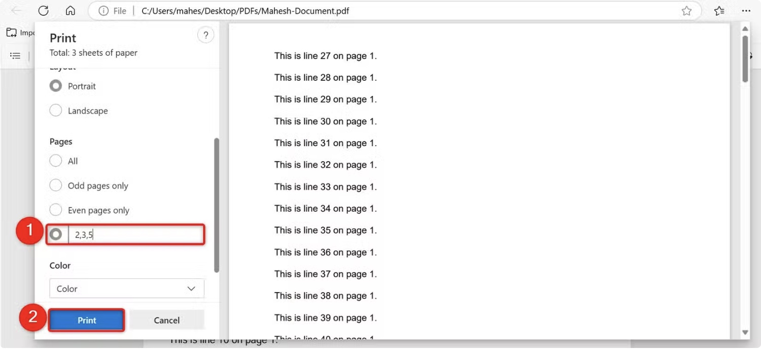 🌻 如何在 Windows 11 上分割 PDF 文件